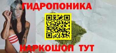 ГАЛЛЮЦИНОГЕННЫЕ ГРИБЫ Канаш