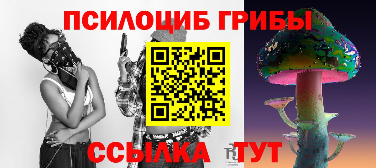 Псилоцибиновые грибы GOLDEN TEACHER  Вход с VPN  Глазов 